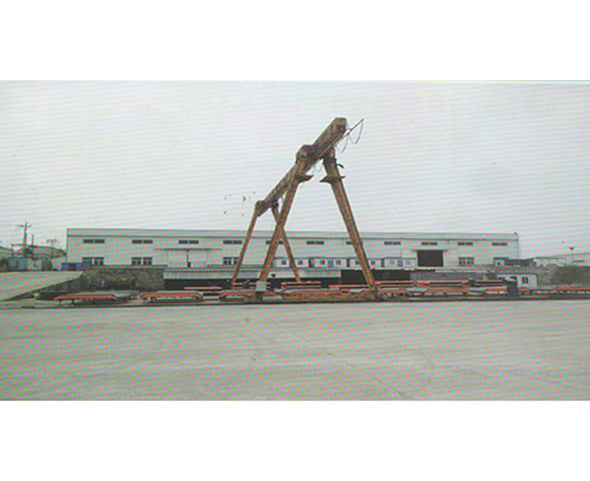 10T gantry crane